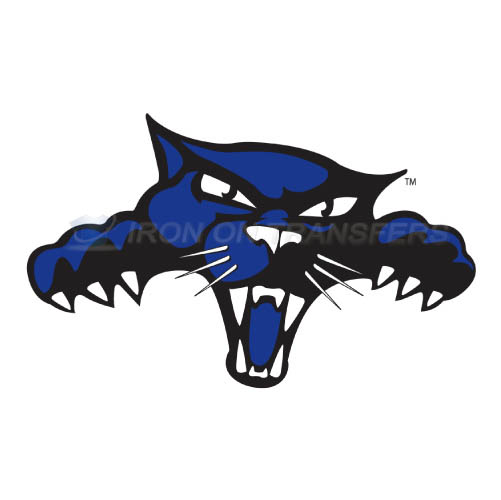 High Point Panthers Iron-on Stickers (Heat Transfers)NO.4546